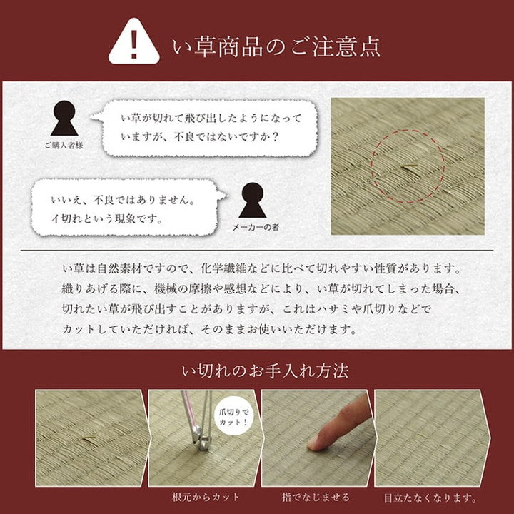 マットレス 90×200cm い草 マットレス い草マット 日本製 国産 ごろ寝マット くつろぎ 折畳み可 敷布団 昼寝 ごろ寝 調温 癒し 消臭 コンパクト インテリア おしゃれ オールシーズン(代引不可)
