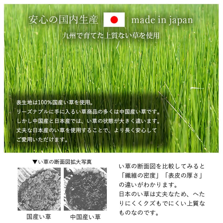 寝具 マット 90×200cm マットレス い草 コンパクト 調湿効果 マット お昼寝 折り畳み 折りたたみ 敷き布団 敷布団 抗菌 防臭 消臭 昼寝(代引不可)