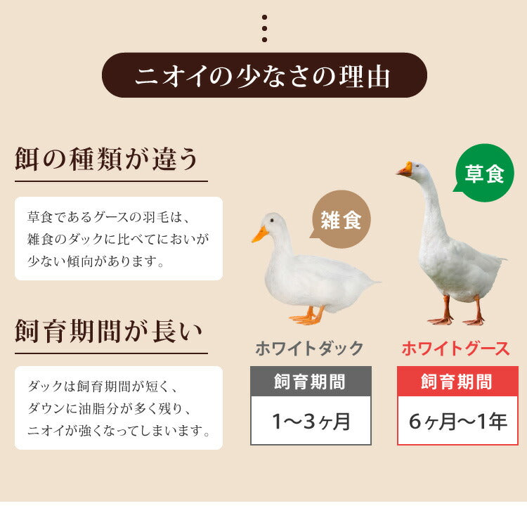 日本製 羽毛布団 キング ロイヤルゴールドラベル ポーランド産ホワイトグースダウン93% 400dp 充填量2kg 立体キルト 抗菌防臭 国産 冬 暖かい あったか グース 羽毛ふとん 掛け布団 掛布団 ホワイト (代引不可)