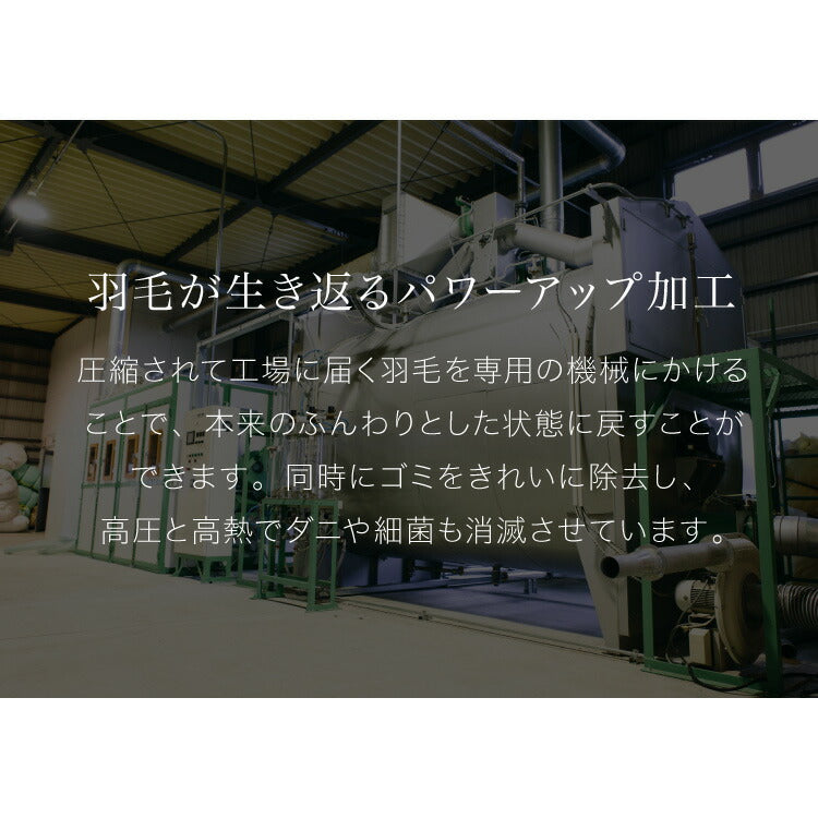 ロイヤルゴールドラベル 羽毛布団 93% 充填量1.3kg 日本製 ホワイトダックダウン ダブルロング 190×210cm ダウンパワー400dp 国産 羽毛ふとん 掛け布団 羽毛 洗える 保温性 高級感 高品質