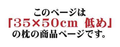 ほこりの出にくい枕 35×50cm 低め 国産 中空ポリエステル綿 洗える 手洗い 枕 まくら マクラ 寝具 睡眠 肩こり 首こり 寝返り 横向き 仰向け うつ伏せ 昼寝 日本製 人気(代引不可)