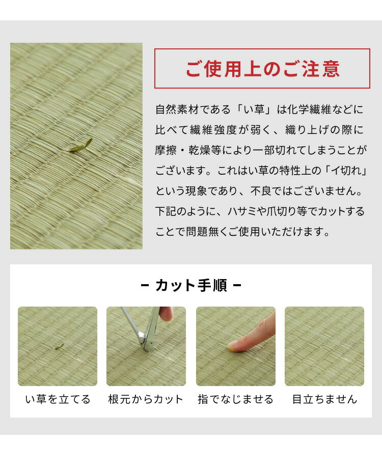 ユニット畳 収納ボックス 幅60 天然い草 完成品 半畳 1個 畳ベンチ 畳ユニット システム畳 畳ベッド 掘りごたつ たたみ タタミ 収納スツール 和風 和モダン(代引不可)