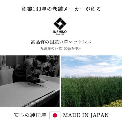 ユニット畳 日本製 い草 フレア マットレス 120×210cm セミシングル 吸着シートセット 抗菌防臭 吸放湿性 防音 井草 イグサ 国産 軽量 こたつ ぴったり 滑り止めシート(代引不可)