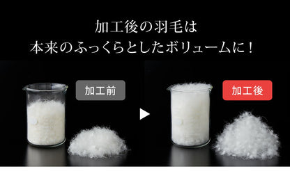 日本製 2枚合わせ 羽毛布団 シングル ロイヤルゴールドラベル ホワイトダックダウン93% 400dp 充填量1.2kg 立体キルト 国産 冬 暖かい あったか 合い掛け布団 肌掛け布団 羽毛掛け布団 (代引不可)