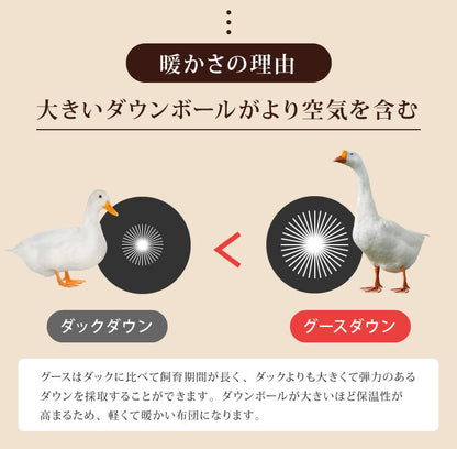 日本製 羽毛ふとん クイーン 1.8kg ロイヤルゴールドラベル ポーランド産ホワイトグースダウン 93% 400dp以上 立体キルト 抗菌 掛け布団 国産 羽毛 布団 ふとん 掛布団 あったか 冬(代引不可)【送料無料】