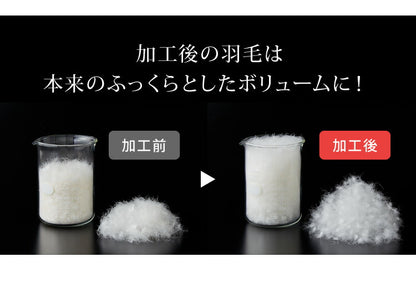 日本製 2枚合わせ 羽毛布団 ダブル エクセルゴールドラベル ハンガリー産ホワイトダックダウン90% 350dp 充填量1.6kg 立体キルト 国産 冬 暖かい あったか 合い掛け布団 肌掛け布団 羽毛掛け布団 (代引不可)【送料無料】