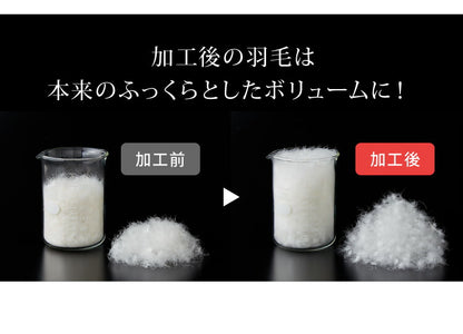 日本製 羽毛ふとん シングル 最高ランクプレミアムゴールドラベル ポーランド産ホワイトダックダウン 93% 440dp以上 立体キルト 抗菌 掛け布団 国産 羽毛 布団 ふとん 掛布団 あったか 冬(代引不可)