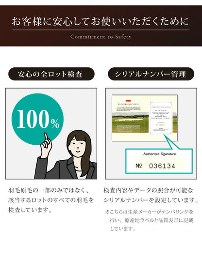 日本製 羽毛ふとん クイーン 最高ランクプレミアムゴールドラベル ポーランド産ホワイトダックダウン 93% 440dp以上 立体キルト 抗菌 掛け布団 国産 羽毛 布団 ふとん 掛布団 あったか 冬(代引不可)