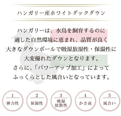 羽毛布団 柄おまかせ シングル 選べるカラー ハンガリー産 ホワイトダックダウン85%使用 1.1kg 丸八真綿 羽毛掛け布団 150×210cm 日本製 羽毛ふとん(代引不可)