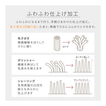 毛布 セミダブル 洗える mofua マイクロファイバー 1年保証 エコテックス 静電気防止 ブランケット スロー なめらか 丸洗い 寝具 お昼寝 車中泊 あったか モフア 大判ひざ掛け