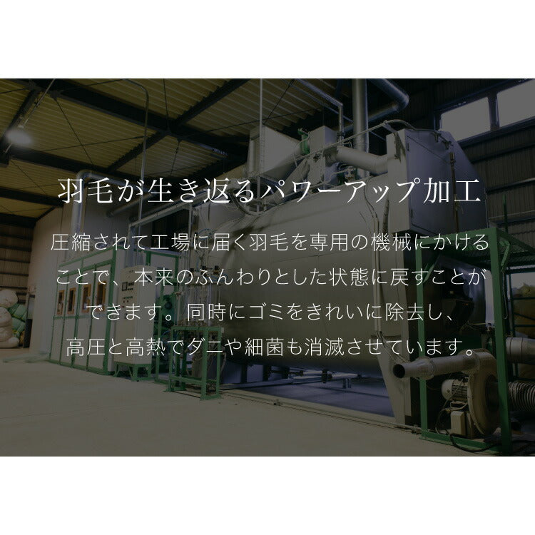 ニューゴールドラベル 柄お任せ 羽毛布団 85% 充填量0.8kg 日本製 ホワイトダックダウン シングルロング 150×210cm ダウンパワー300dp 国産 羽毛ふとん 掛け布団 羽毛 洗える 保温性 高級感 高品質【送料無料】